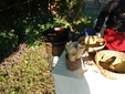 matrimoni, cerimoni, eventi, coffe breack, buffet