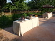 matrimoni, cerimoni, eventi, coffe breack, buffet