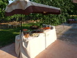 matrimoni, cerimoni, eventi, coffe breack, buffet