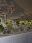 matrimoni, cerimoni, eventi, coffe breack, buffet