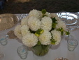 matrimoni, cerimoni, eventi, coffe breack, buffet
